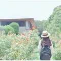 京都府立植物園の写真_199177