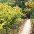 惣岳渓谷の写真_199470