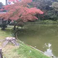 高台寺の写真_201859