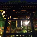 高台寺の写真_204825