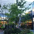 代官山 蔦屋書店(TSUTAYA)の写真_207798