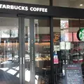スターバックスコーヒー 東急プラザ表参道原宿店（STARBUCKS COFFEE）の写真_210163