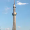 東京スカイツリーの写真_211383