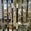 代官山 蔦屋書店(TSUTAYA)の写真_213898