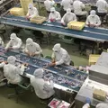 桔梗信玄餅工場テーマパークの写真_214342