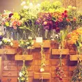 from afar（フロムアファー ）の写真_215729