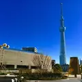 東京スカイツリーの写真_215792