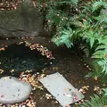 明治神宮の写真_216579