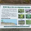 伊良湖岬自然散策路の写真_217180