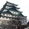 名古屋城の写真_217183