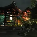 高台寺の写真_217322