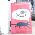 【閉業】efish（エフィッシュ）の写真_219763