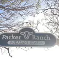 Parker Ranchの写真_221349