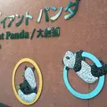 上野動物園の写真_222664