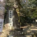 熊野三所大神社の写真_223135