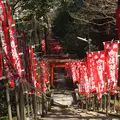 佐助稲荷神社の写真_224026
