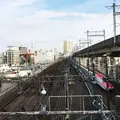 田端ふれあい橋の写真_225778