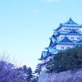 名古屋城の写真_225790