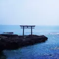 大洗磯前神社の写真_227619