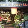 青山フラワーマーケット ティーハウス 南青山本店 （Aoyama Flower Market TEA HOUSE）の写真_228730