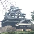 松江城の写真_229221
