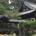 高台寺の写真_232850