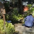 秩父神社の写真_234590