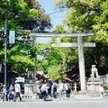 秩父神社の写真_235754