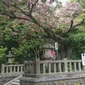 八雲神社の写真_236070