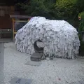 安井金比羅宮の写真_236254