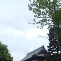 建仁寺の写真_236256