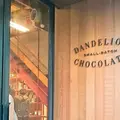 Dandelion Chocolate（ダンデライオンチョコレート）の写真_237803