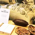 Dandelion Chocolate（ダンデライオンチョコレート）の写真_237872