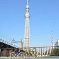 東京スカイツリーの写真_239260