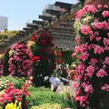 山下公園の写真_240166
