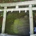 銭洗弁財天 宇賀福神社の写真_241198