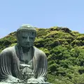 鎌倉大仏（高徳院）の写真_241335