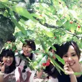 原田農園の写真_243856