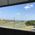 二子玉川 多摩川の河川敷の写真_245848