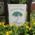 Tea＆Cake Grace （ティーアンドケーキ グレース）の写真_246824