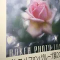 キヤノンサロンSの写真_249412