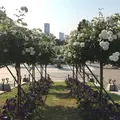 山下公園の写真_249652