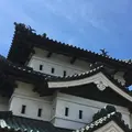 弘前城の写真_251516
