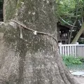 伊弉諾神宮の写真_253065