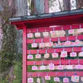 日光二荒山神社の写真_259888