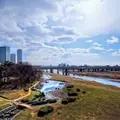 二子玉川 多摩川の河川敷の写真_261047