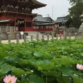 伊賀八幡宮の写真_264979