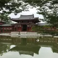 平等院の写真_265129