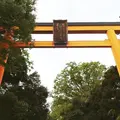 川越氷川神社の写真_269553