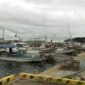 月の浦新港の写真_271746